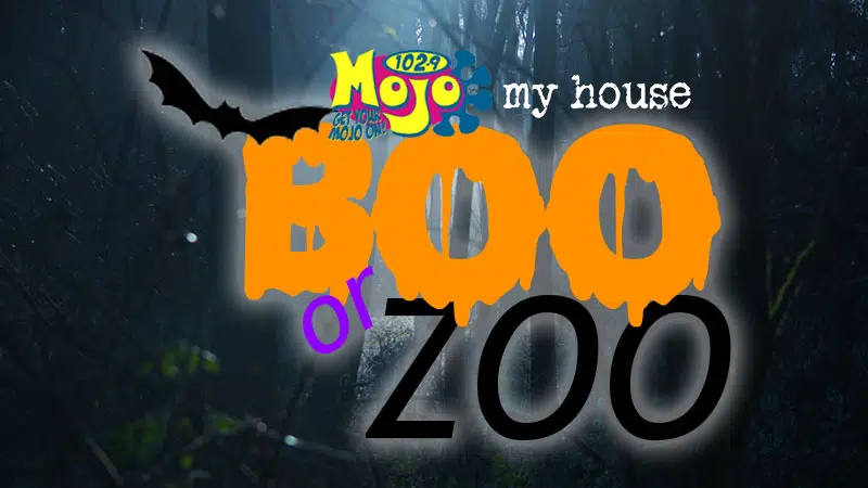 Boo or Zoo