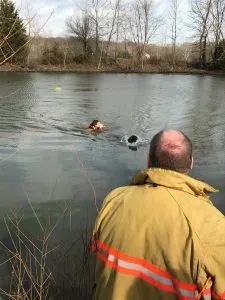 Deputies rescue canine from Hartsville pond