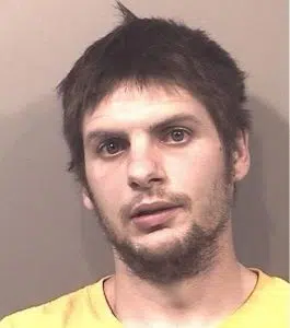 Man arrested after fleeing from police