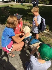 Our Hospice hosts another successful grief camp