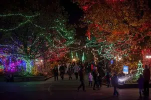 Indy Zoo nominated again for best Christmas lights