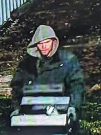 Rash of car break-ins plague Seymour