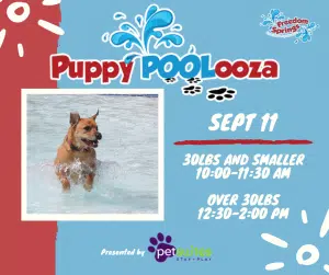 Freedom Springs hosts Puppy Poolooza