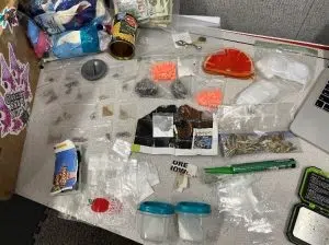 State police bust two for drugs in separate I-65 traffic stops