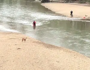 Columbus firefighters rescue dog from sandbar