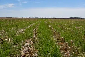 Soil conservation on upward trend in Indiana
