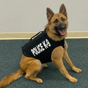 Edinburgh Police Department K-9 dies