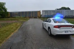 Greensburg man dies in collision with train