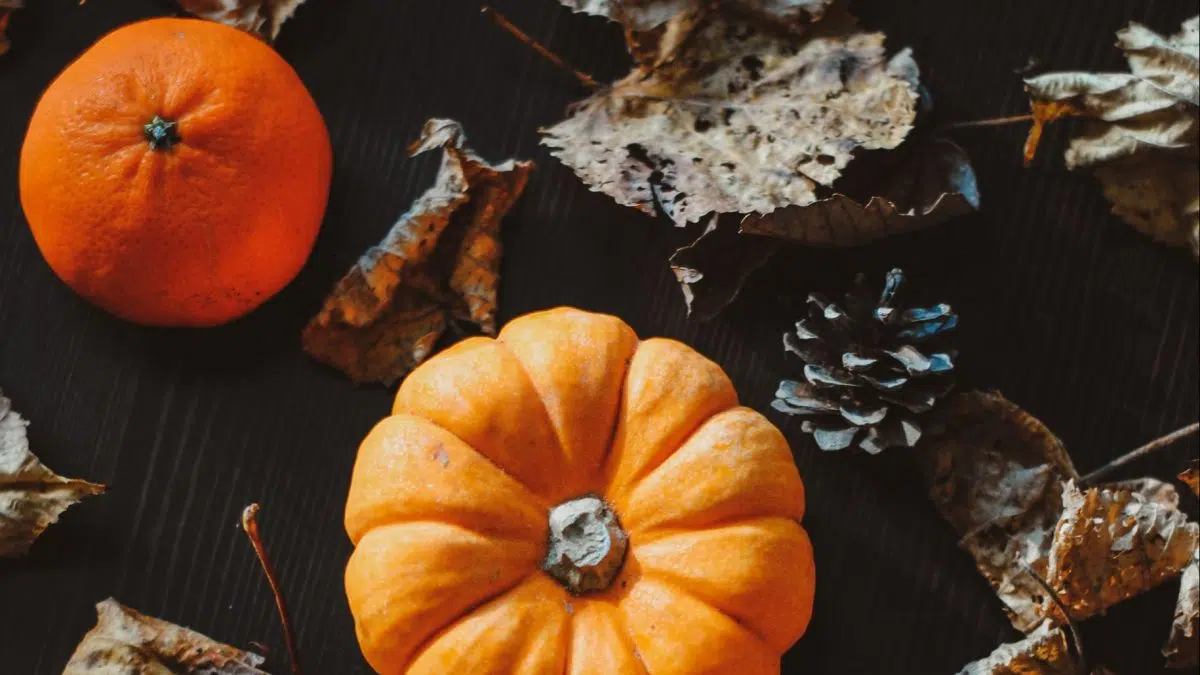 Greenwood Parks and Rec prepares for Halloween events Local News Digital