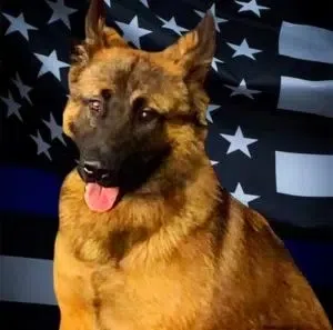 Jennings County man busted for meth during traffic stop