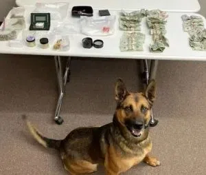 Traffic stop results in narcotics-dealing bust