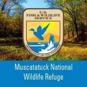 'Bird Count' at Muscatatuck set for New year's Day