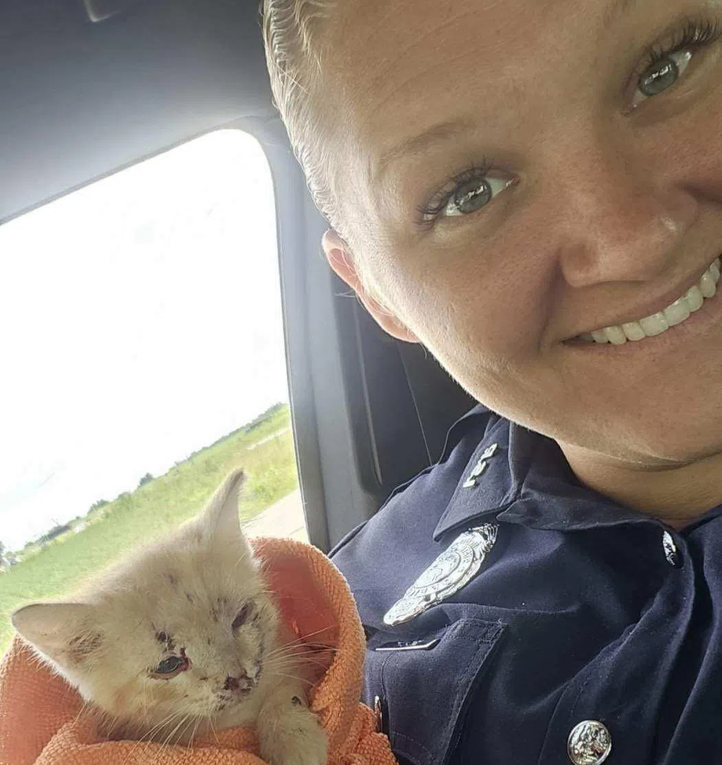 UPS driver, ISP trooper save kitten thrown from car window
