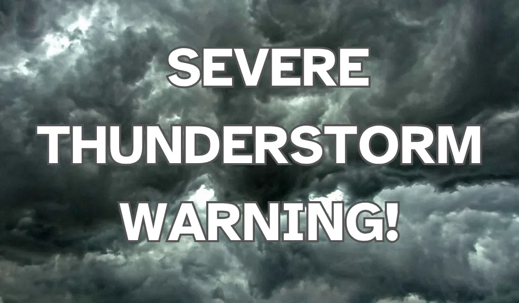 Severe Thunderstorm Warning for Bartholomew, Shelby, Decatur counties until 345