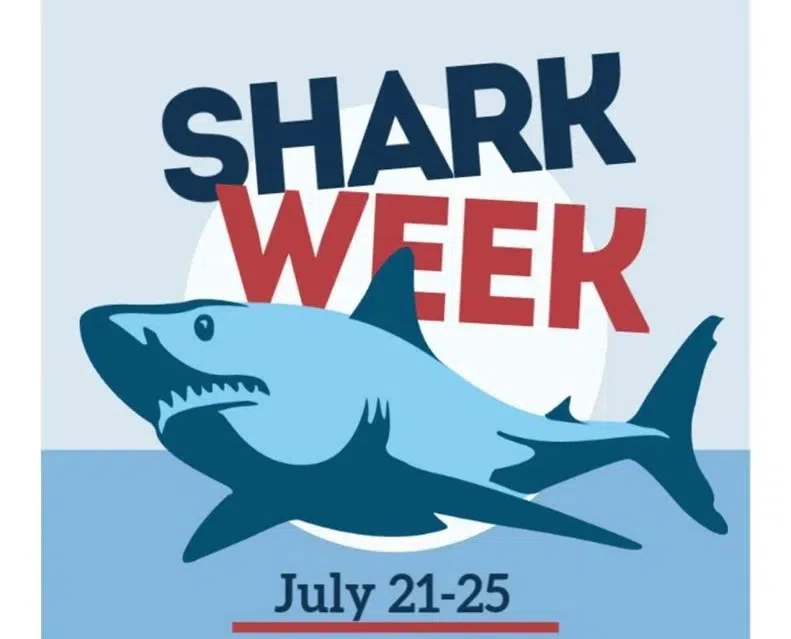 Mill Race Center hosts "Shark Week"-inspired activities this week