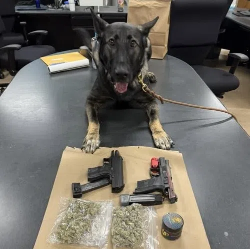 Seymour Police vehicle chase ends with meth bust