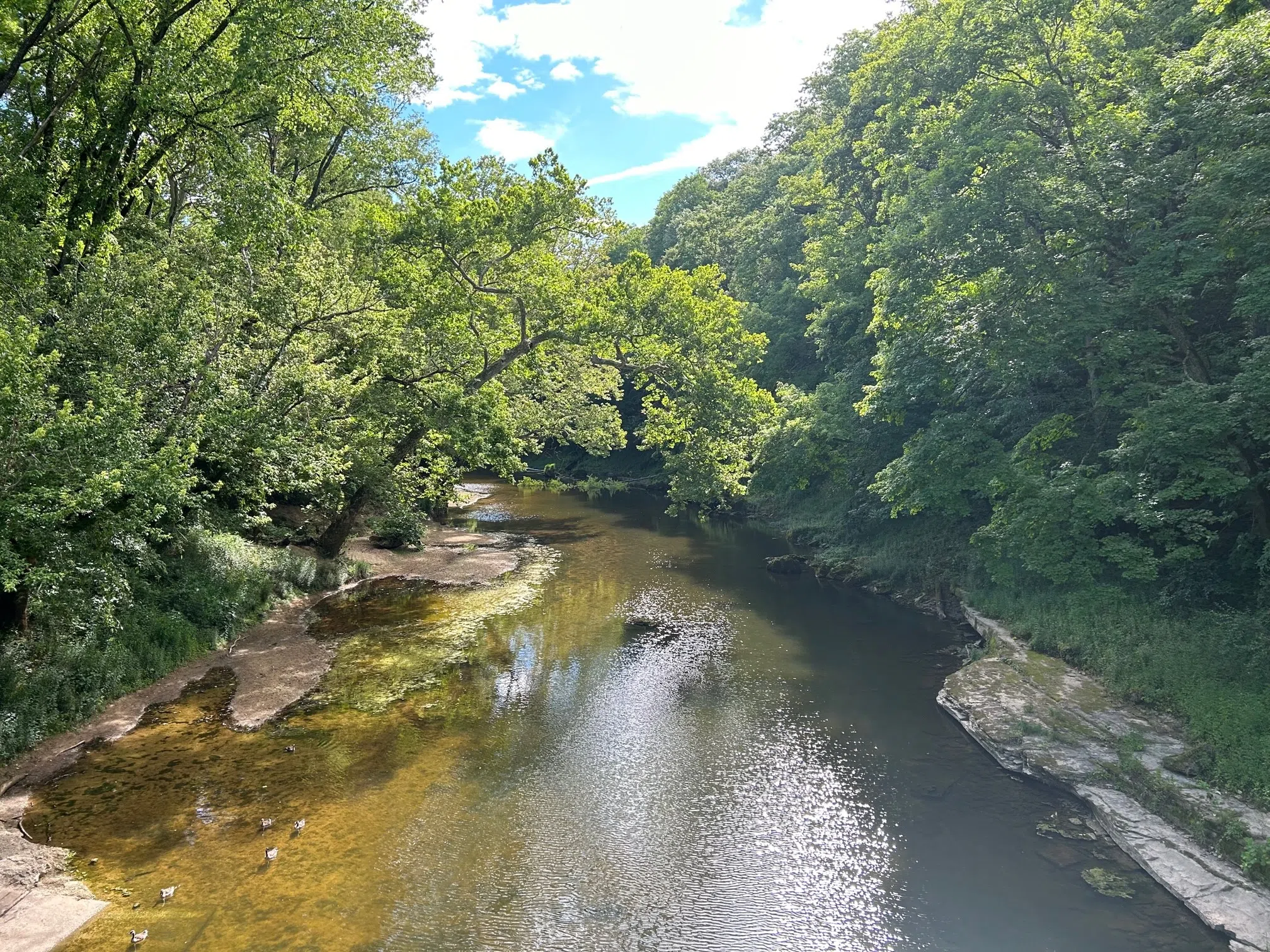 Ivy Tech Community Hike in Trafalgar is first Saturday in December