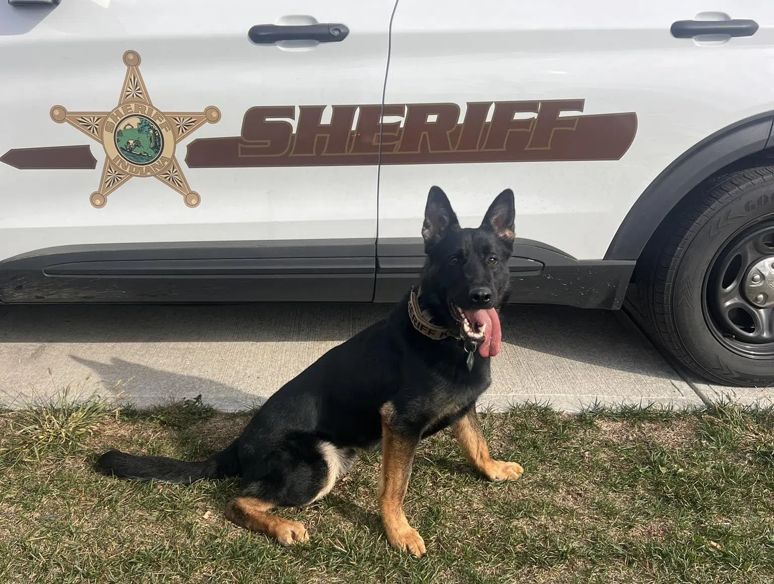 Police K-9 injured in standoff at rural Morgan County home; shots fired by deputies