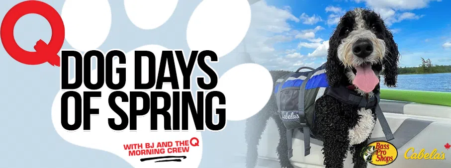 Feature: https://q979.ca/the-mighty-qs-dog-days-of-spring/
