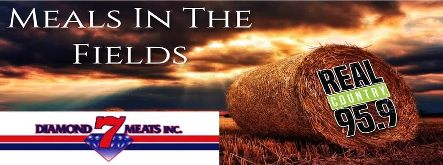 Meals In The Fields
