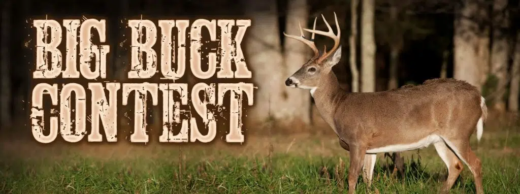 Big Buck Contest
