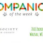 Companion of the Week - Humane Society of Marathon County