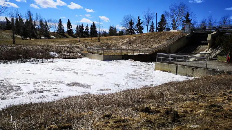 Alert Issued For Rising Water Levels Affecting Muskoseepi Park Trails   Bdc2befb 47be 4f92 9b93 A70a1e2d8c12 