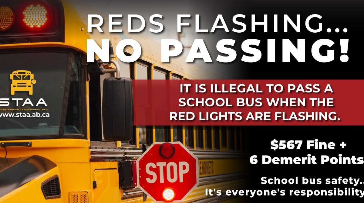 Rash of bad drivers passing red-lit Wolf Creek school buses this fall