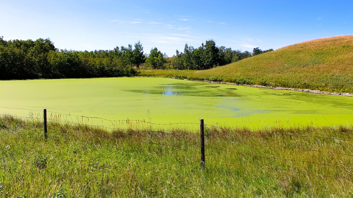 Province sets aside $60M for projects that would save water, retore land and grow more