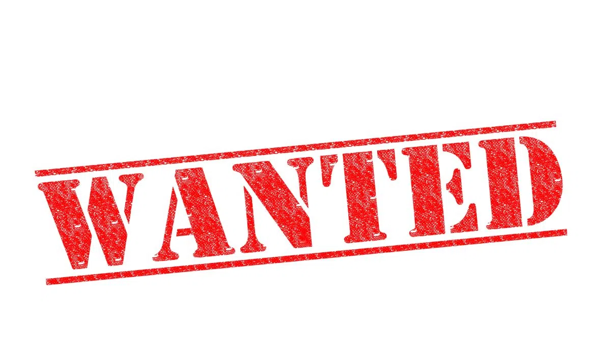 Fugitive On the Run Nabbed Thanks to Collaborative Effort