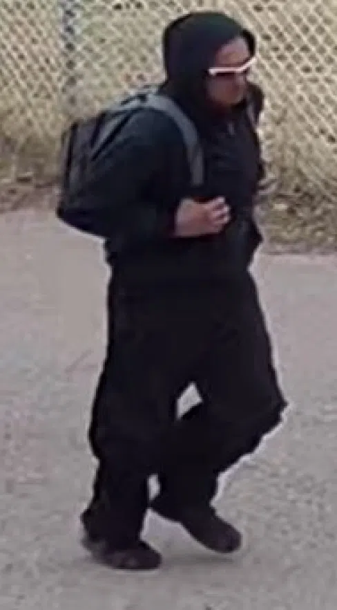 St. Paul RCMP seek public assistance in assault and robbery