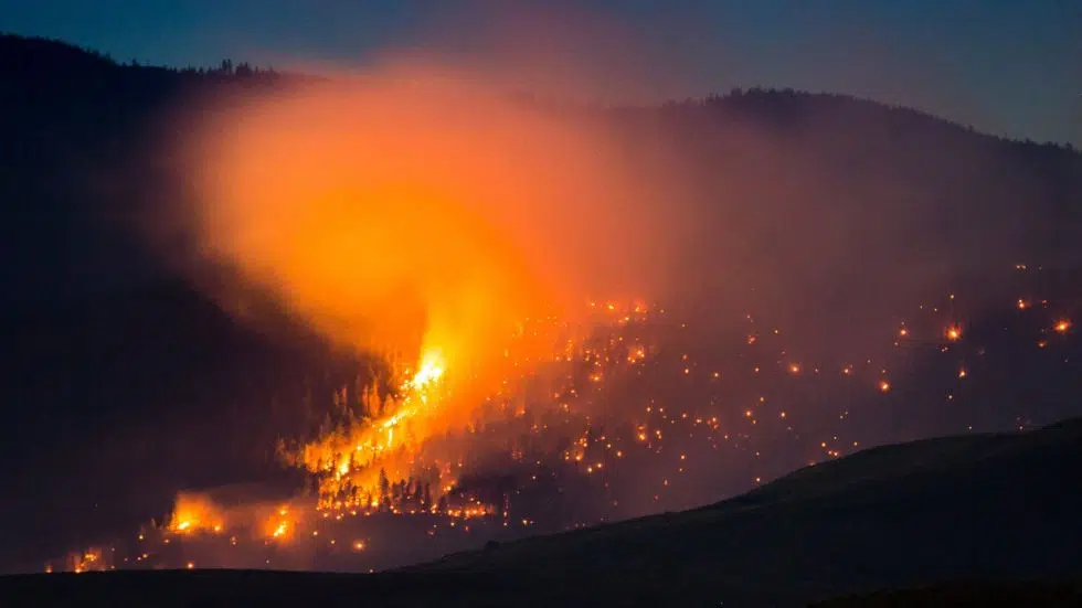 Residents ordered out of Williams Lake, B.C., ahead of fire fanned by high  winds | Lethbridge News Now