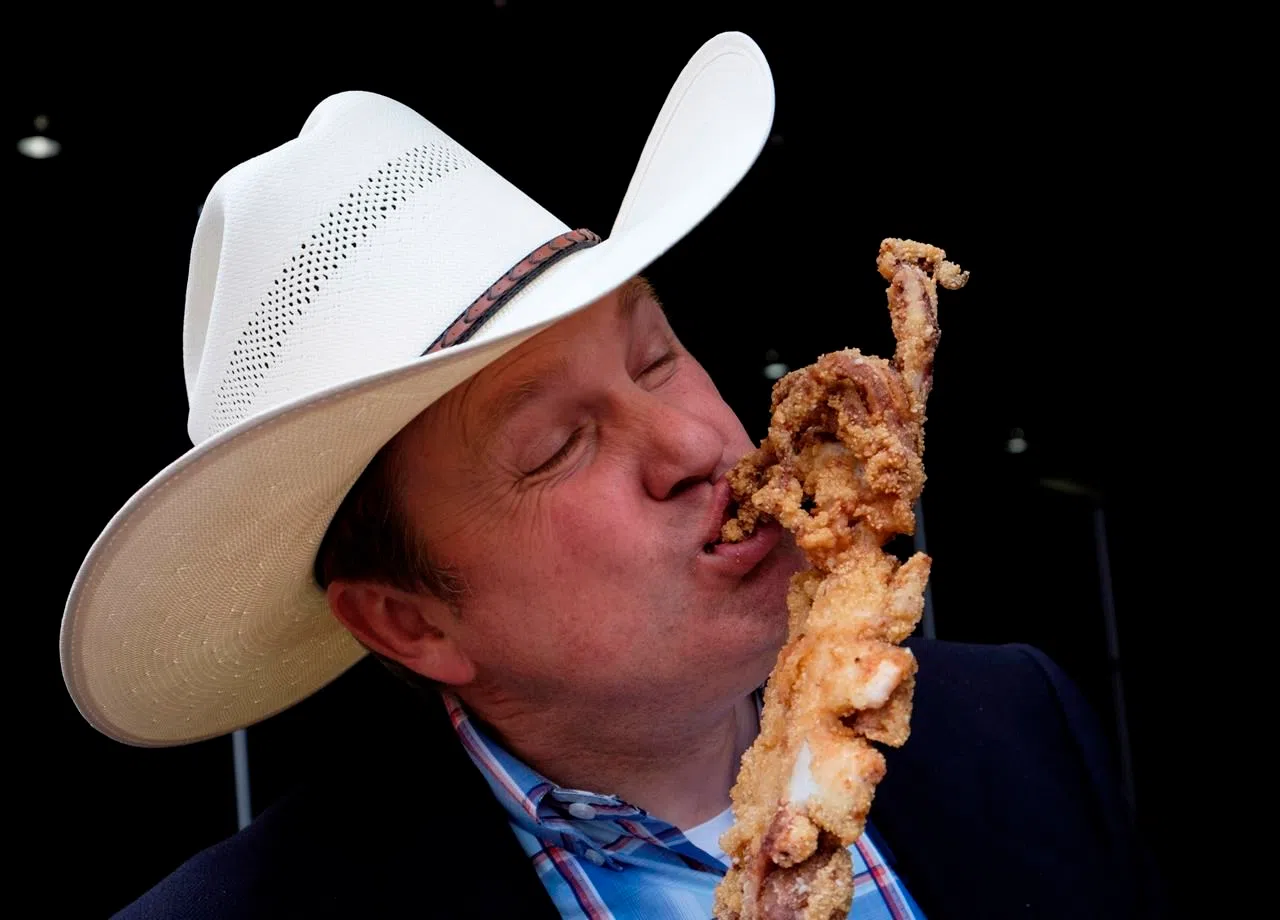 Cheesy chicken hearts, calf testicles join corn dogs on Calgary Stampede  menu | Lethbridge News Now