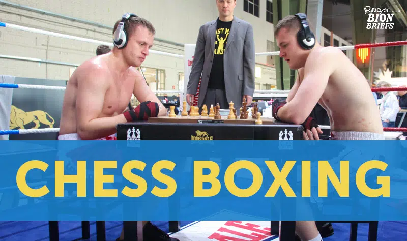 Chess Boxing Will Test Your Body and Brain
