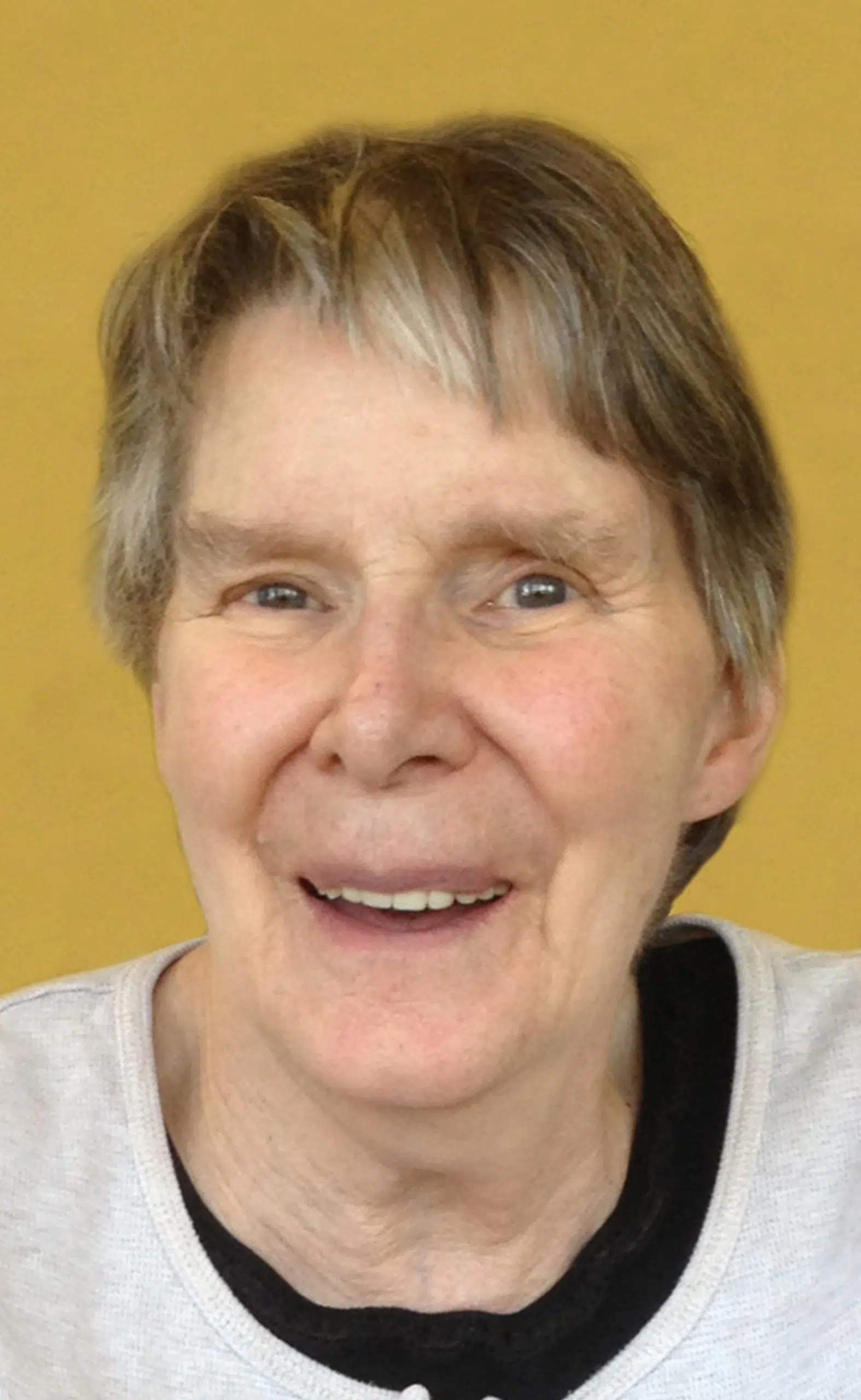 Lethbridge Herald Obituaries: A Celebration Of Resilience - yh290vx
