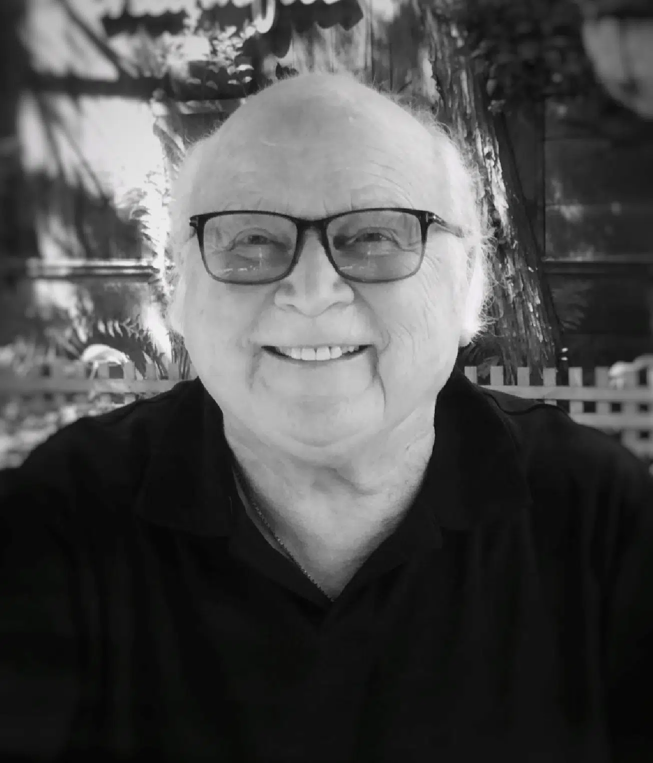 Lethbridge Herald Obituaries: A Celebration Of Resilience - xgqoaxf