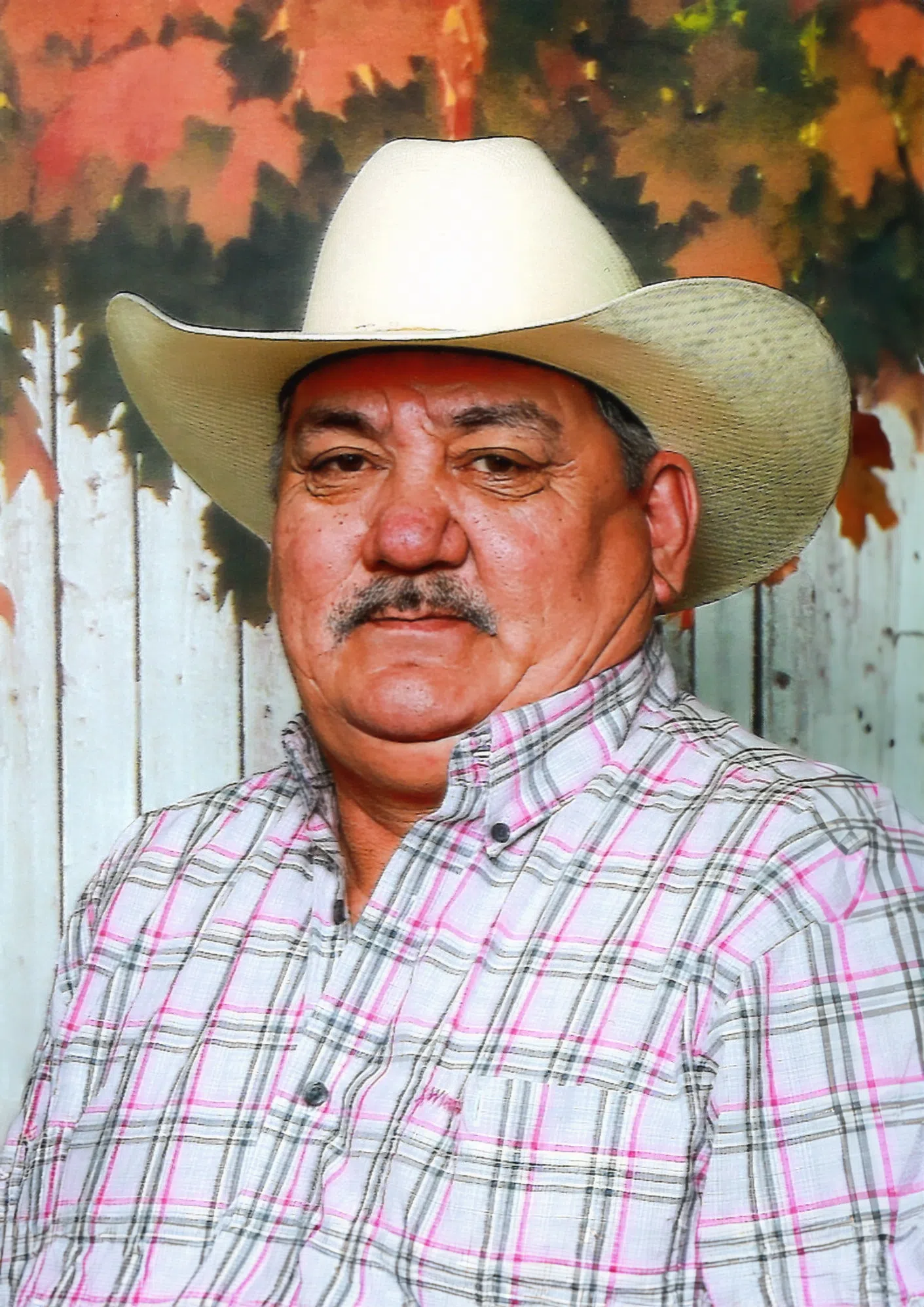 Heartbreaking But Hopeful Lethbridge Herald Obituaries - bk6q8xf
