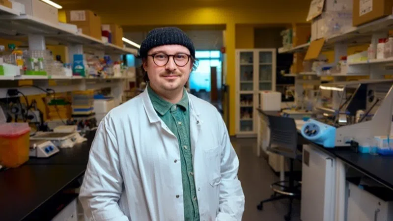 U of L researcher to examine how social instability affects patients with Alzheimer's disease