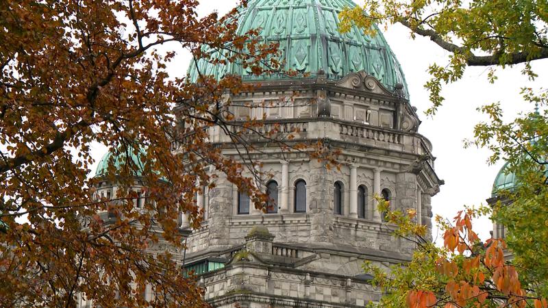 MLA CANDIDATE ISSUE #4 – How important is the U.S. Trade war to voters