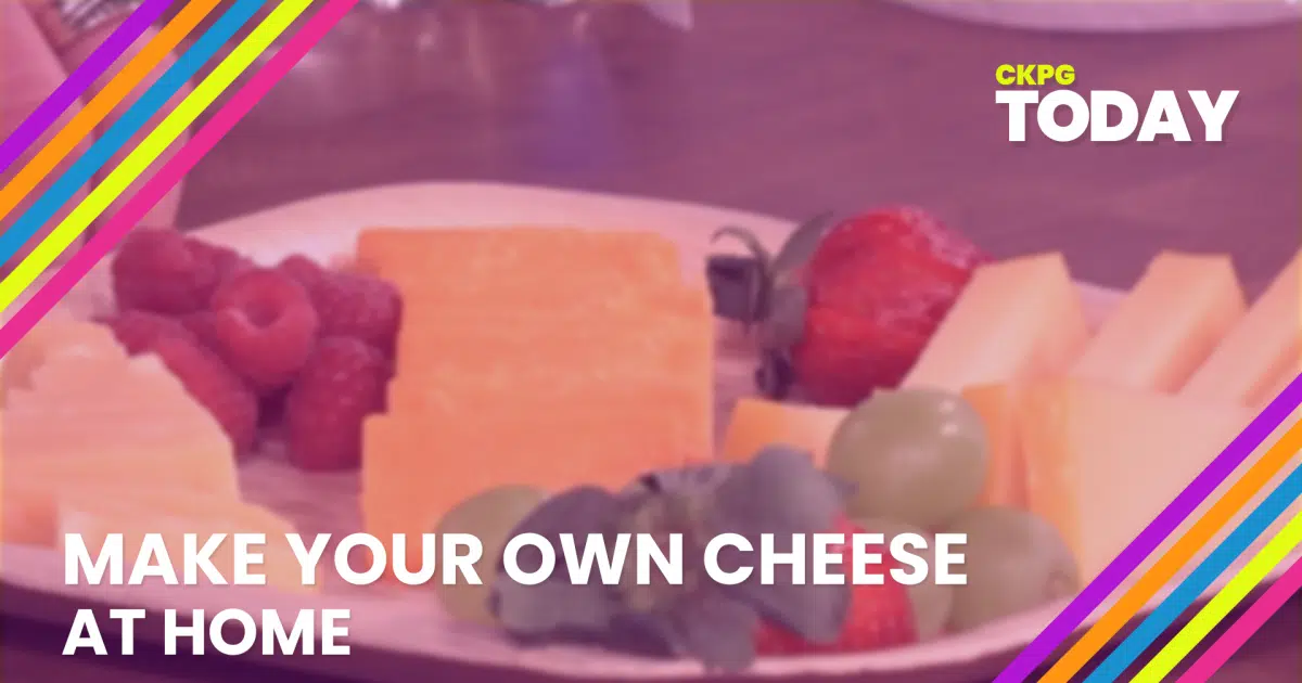 Make your own cheese at home | CKPG Today