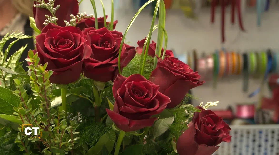 Sorry! Image not available at this time