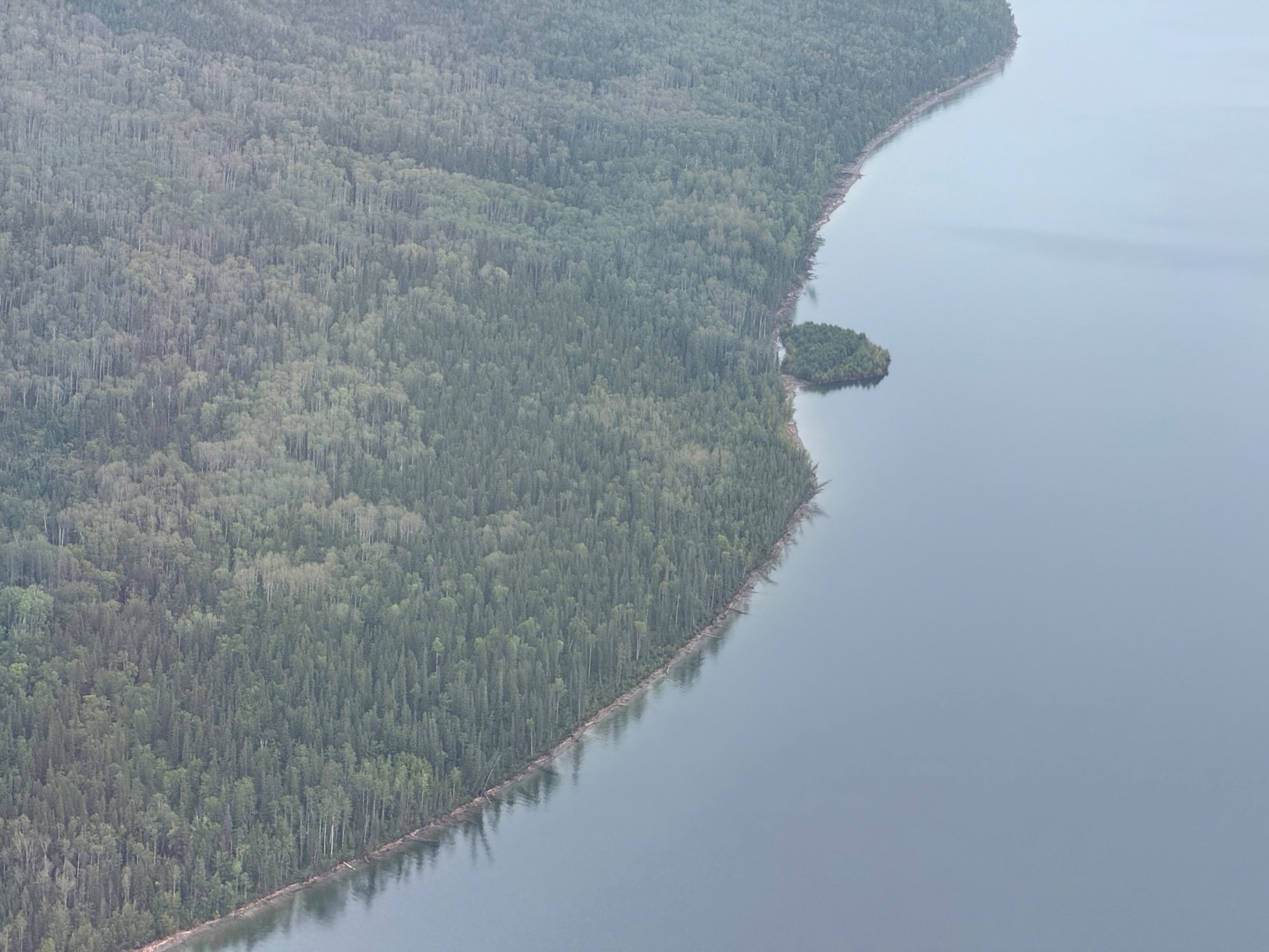 Floating island larger than a Canadian football field, with trees, vanished from Williston Reservoir after drifting 30 km; B.C. Hydro says it's a first