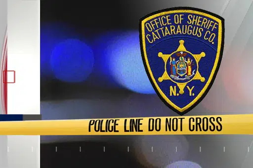 Olean Woman Arrested For Welfare Fraud