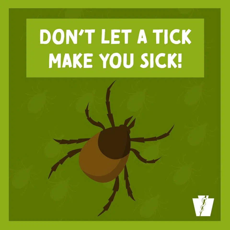 Lyme Disease Awareness Month in Catt County