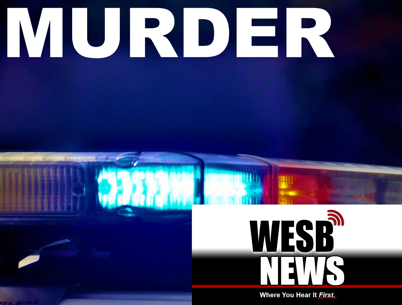 Pretrial Motions in Potter County Murder Case