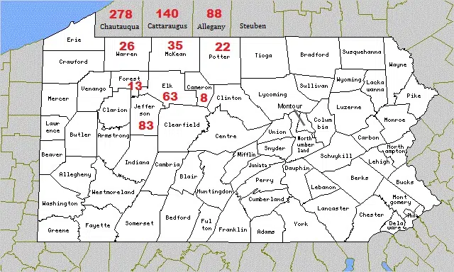 One New Case in McKean County