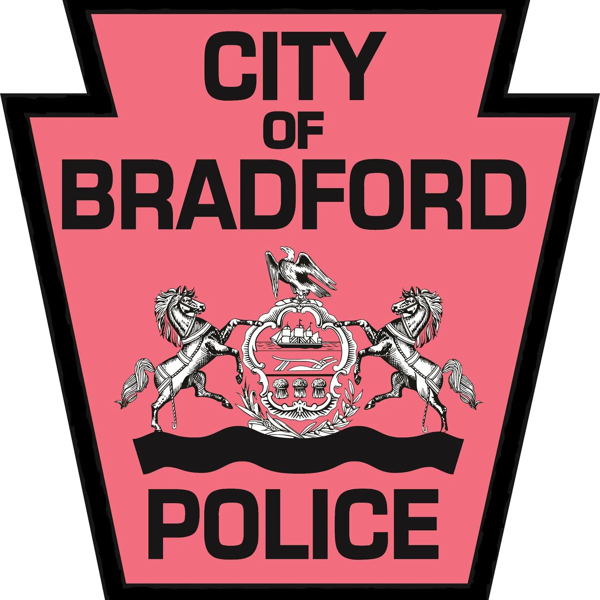 Bradford Man Arrested for Disorderly Conduct