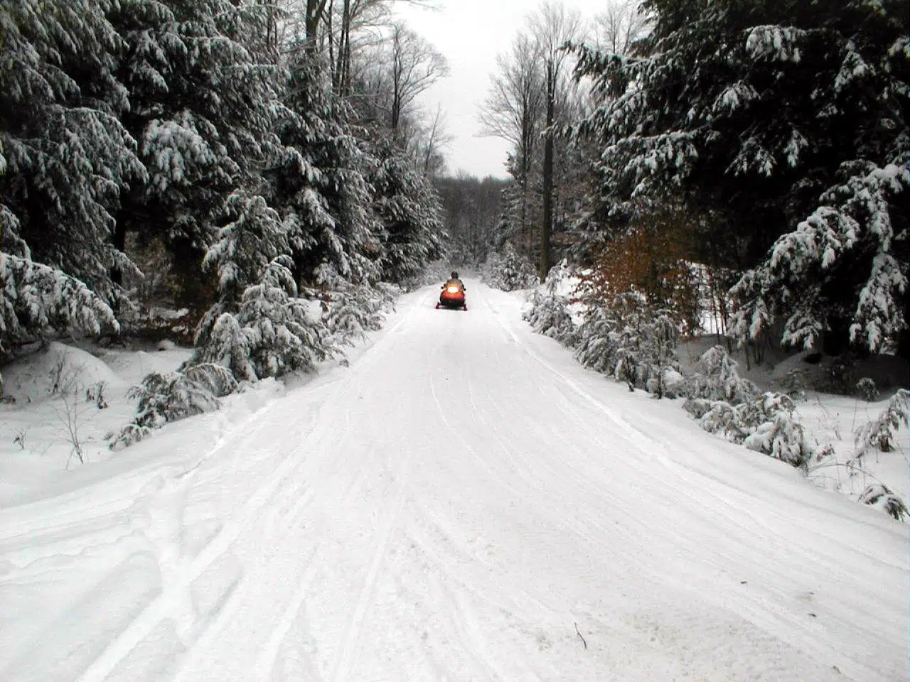 Forest Service Updates Snowmobile Info