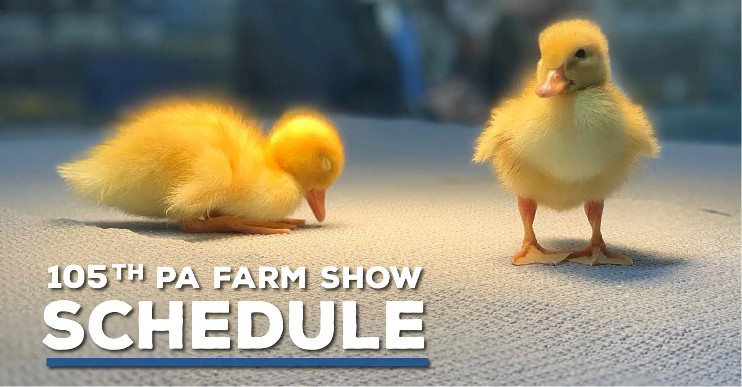 Farm Show Schedule for Saturday