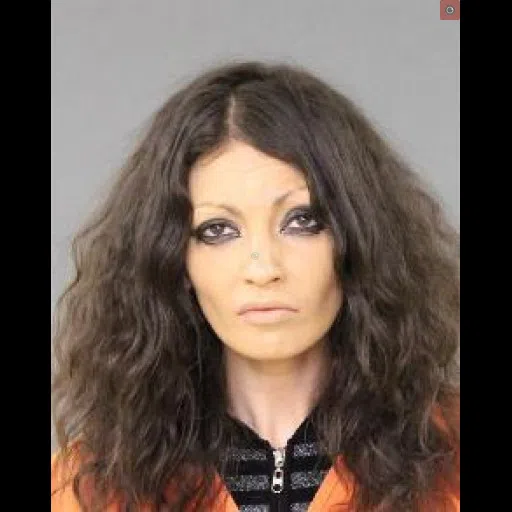 Bradford Woman Arrested on Warrant